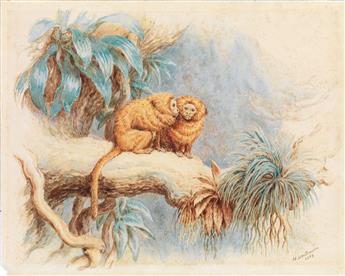 (ANIMALS.) H. LEUTEMANN. Tiger Mother * Two Tamarins.